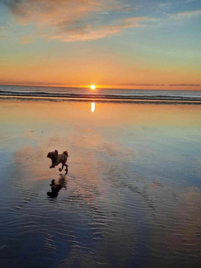 Wendon Holidays * Caernarfon