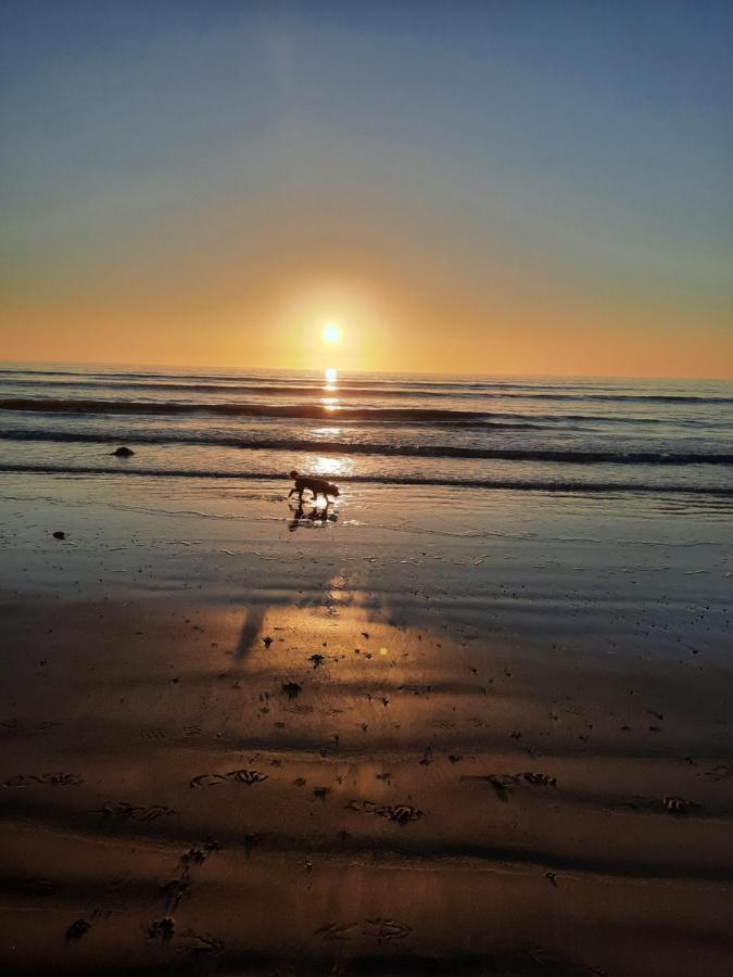 Wendon Holidays * Caernarfon