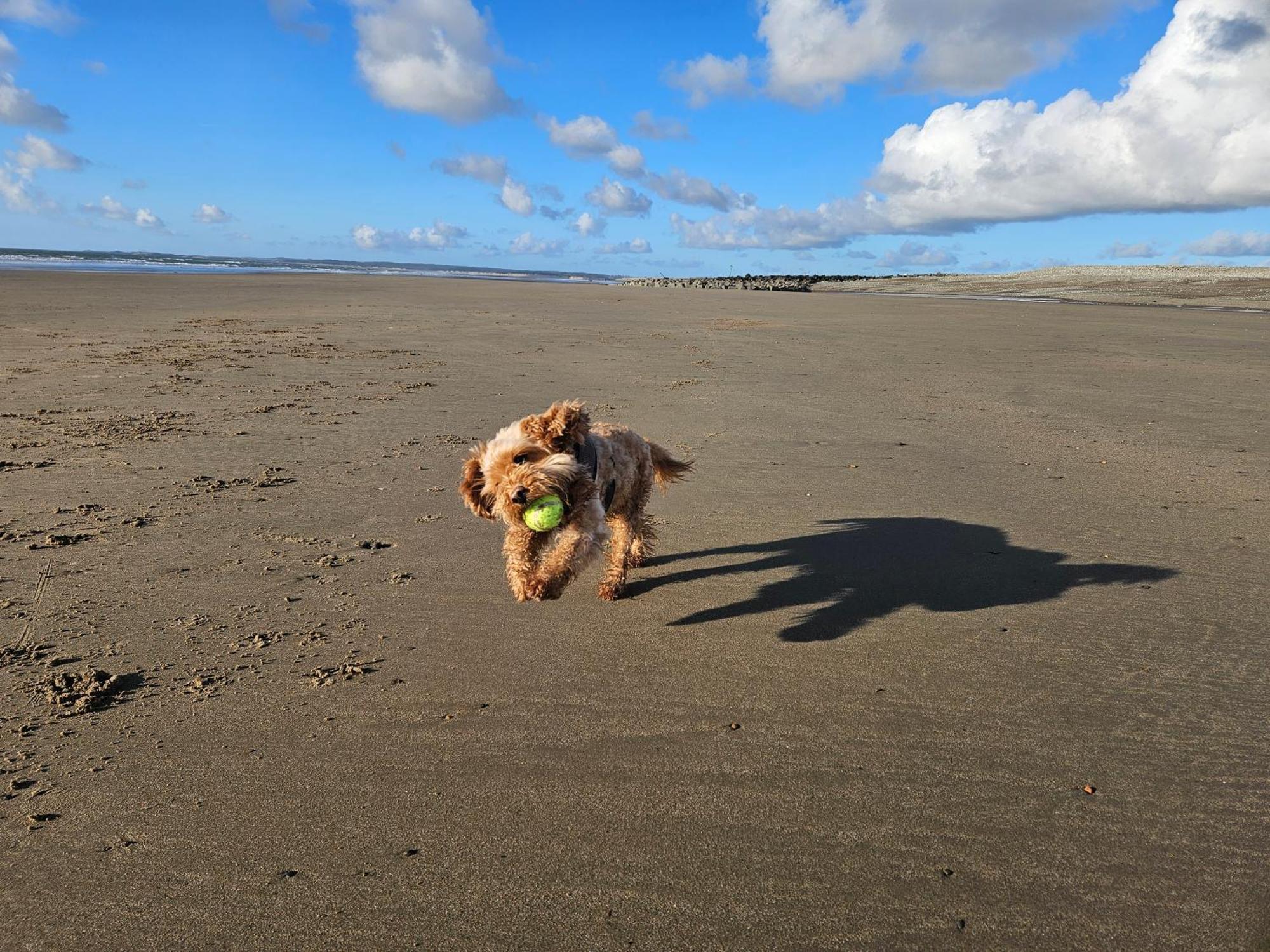 Wendon Holidays Caernarfon